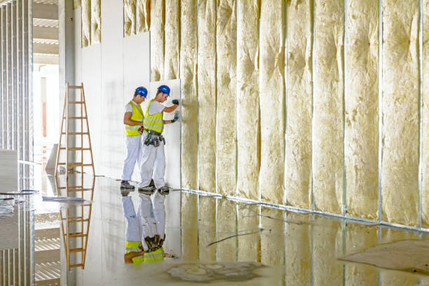 Best Eco-Friendly Insulation in Garberville, CA